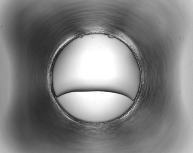 X0000098170806200804241008
