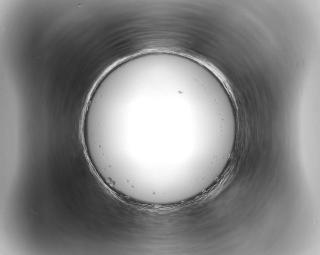X0000098170807200804241008