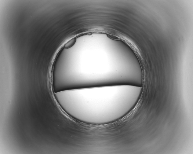 X0000098170808200804241008