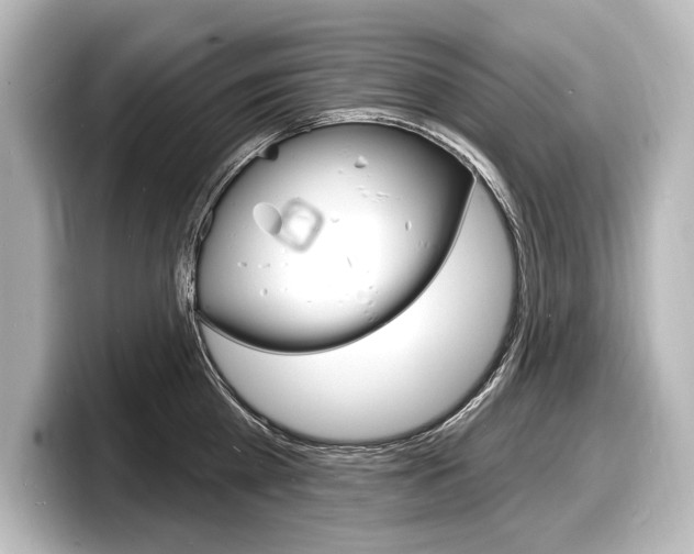 X0000098170809200804241008