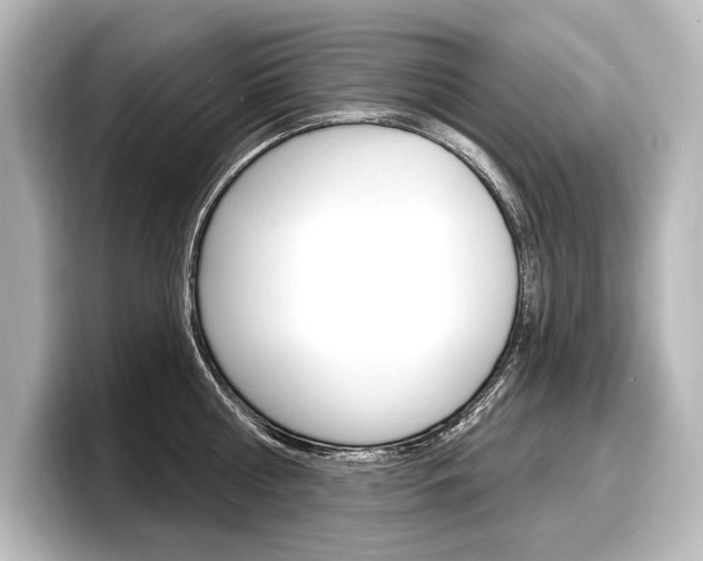 X0000098170810200804241008