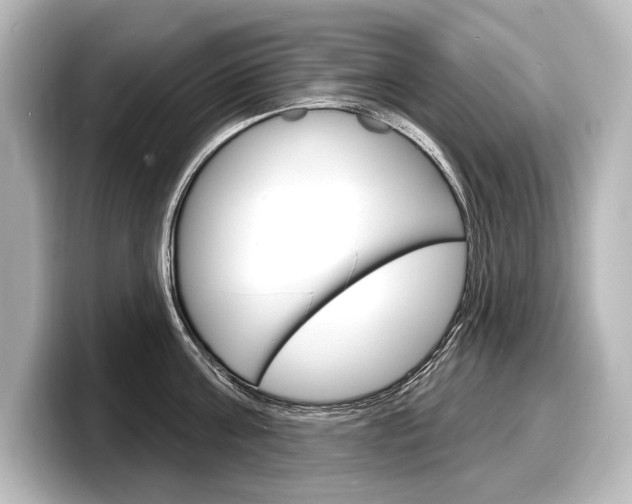 X0000098170811200804241008