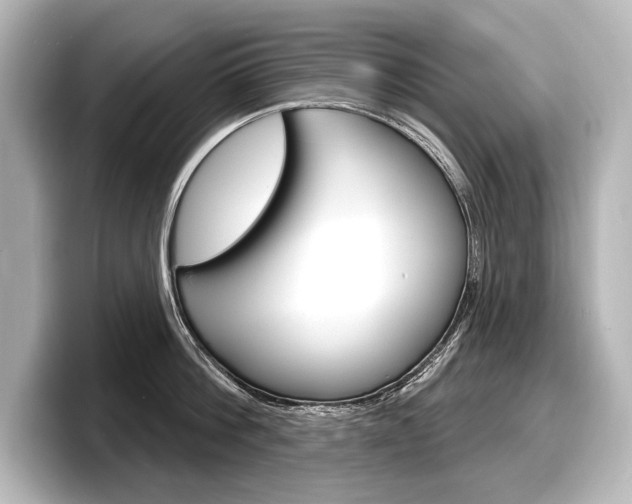 X0000098170812200804241008