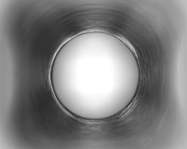 X0000098170813200804241008