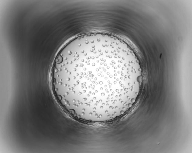 X0000098170814200804241008