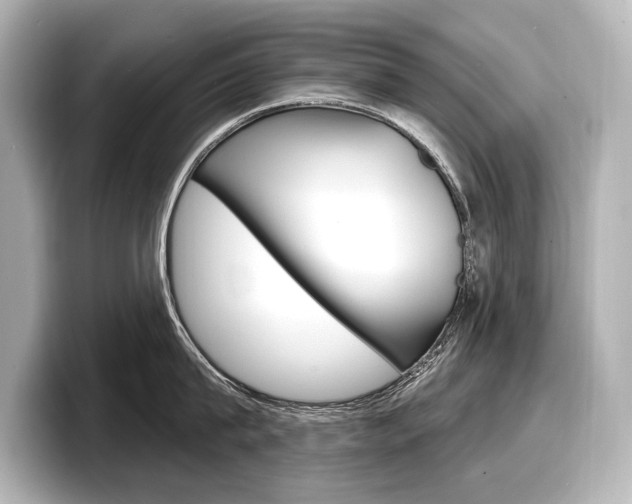 X0000098170815200804241008