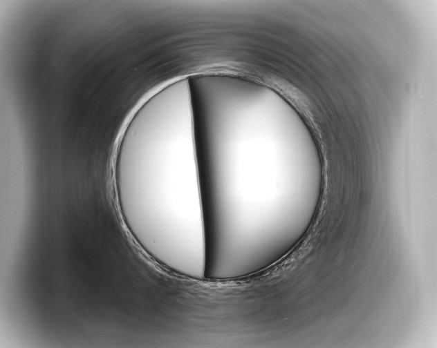 X0000098170816200804241008