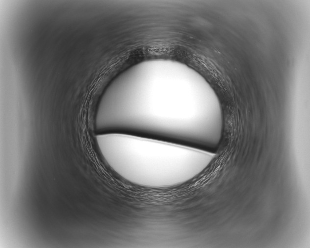 X0000098170817200804241007