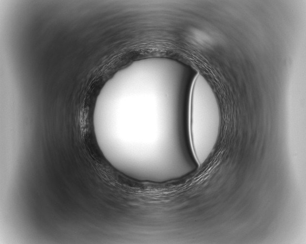 X0000098170818200804241007