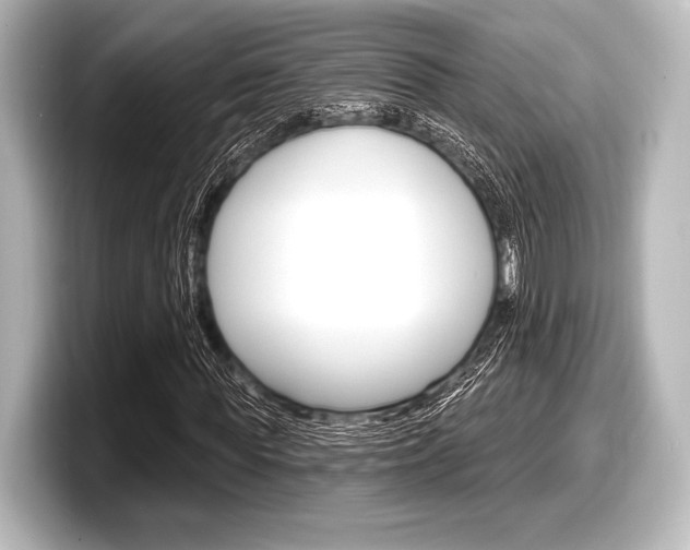 X0000098170819200804241007