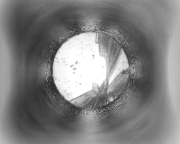 X0000098170820200804241007