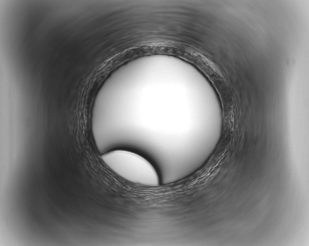 X0000098170821200804241007
