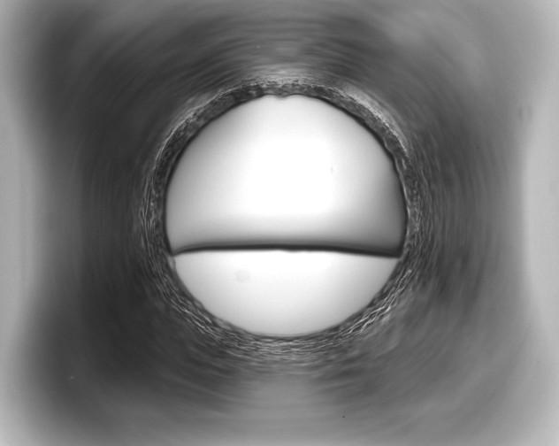 X0000098170823200804241007
