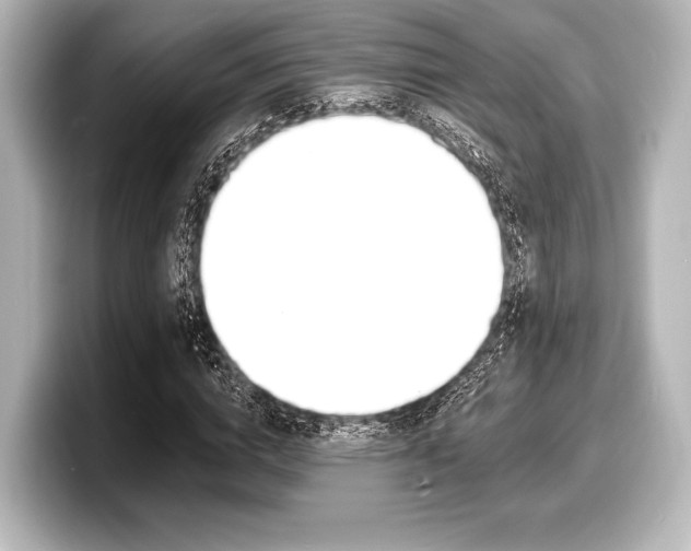 X0000098170824200804241007