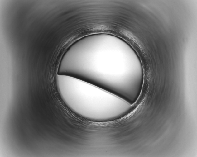 X0000098170825200804241007