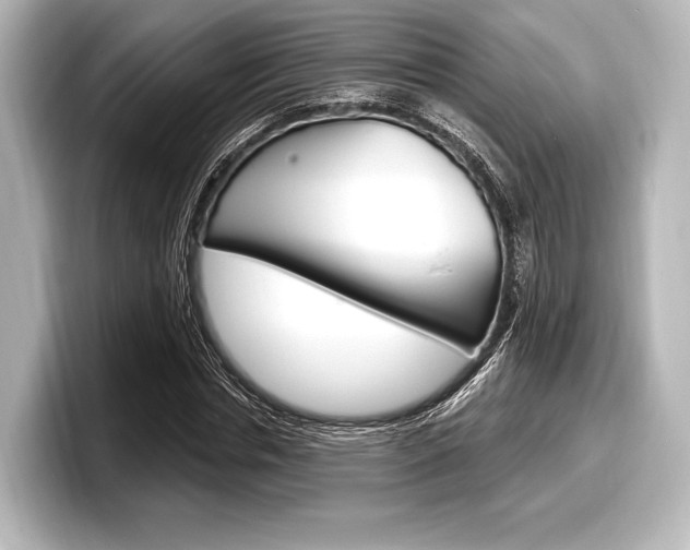 X0000098170826200804241007