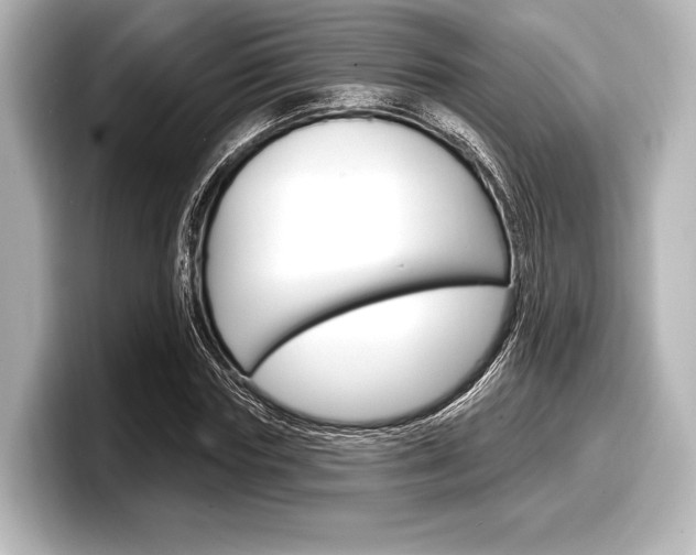 X0000098170827200804241007