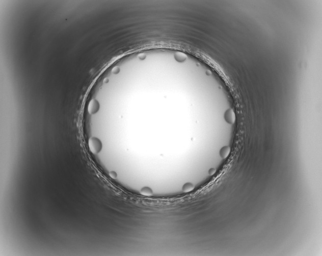 X0000098170828200804241007