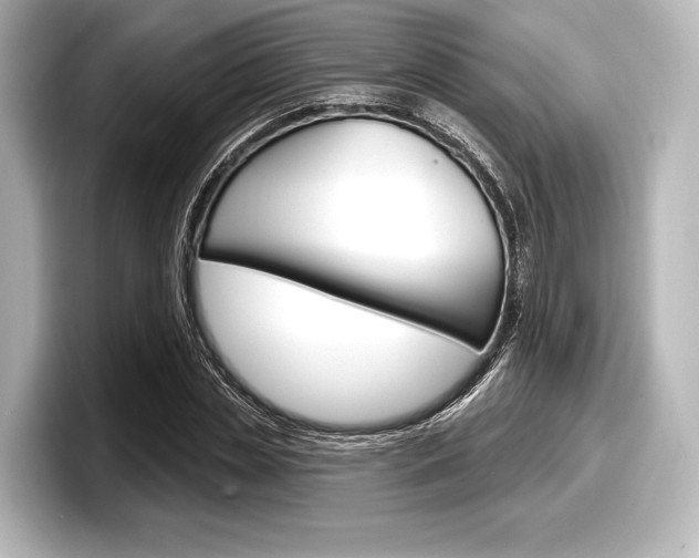 X0000098170829200804241008