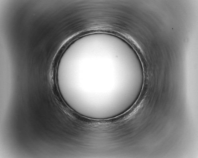 X0000098170830200804241008