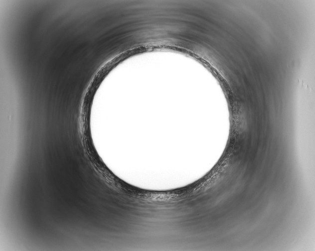 X0000098170832200804241008