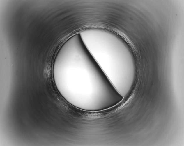 X0000098170833200804241008
