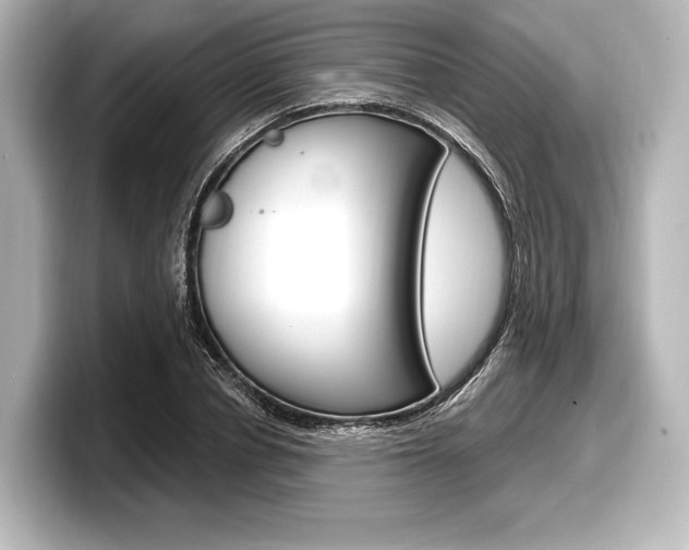 X0000098170834200804241008