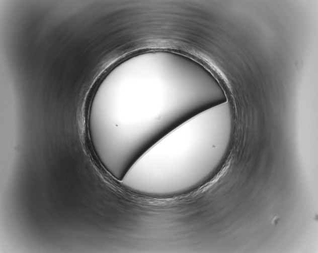 X0000098170837200804241008