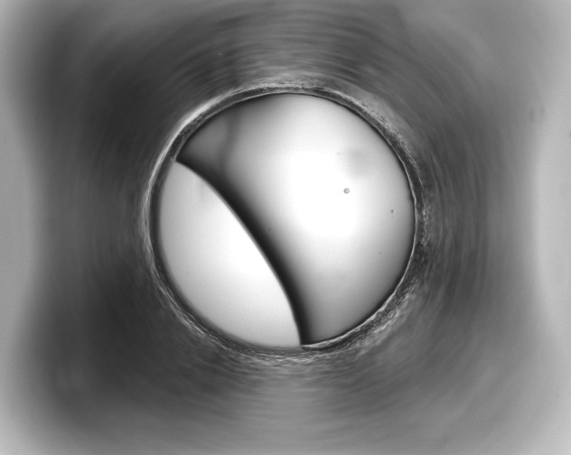X0000098170838200804241008