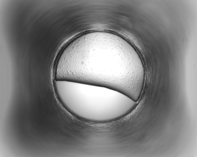 X0000098170839200804241008