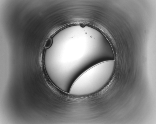 X0000098170842200804241008