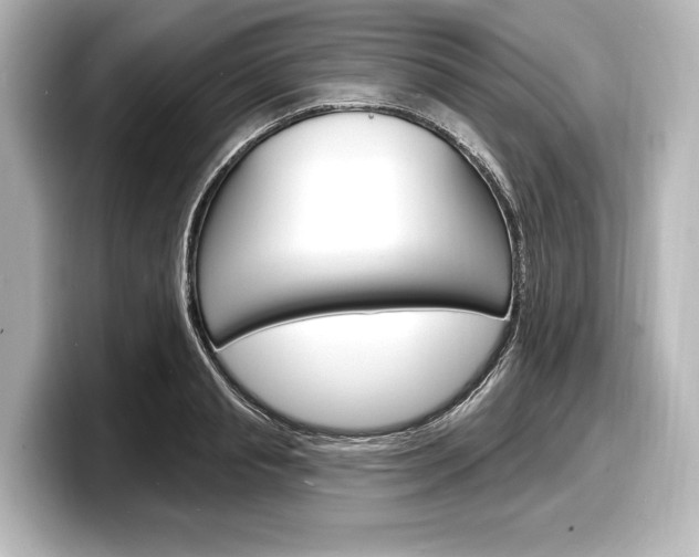 X0000098170845200804241008