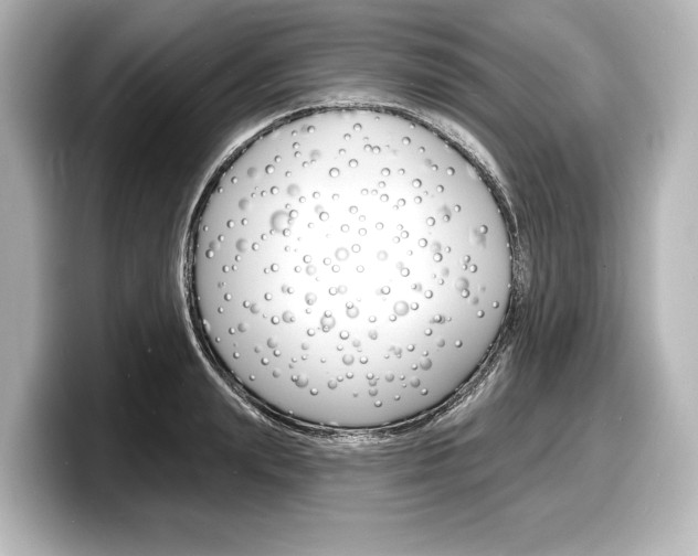 X0000098170847200804241008