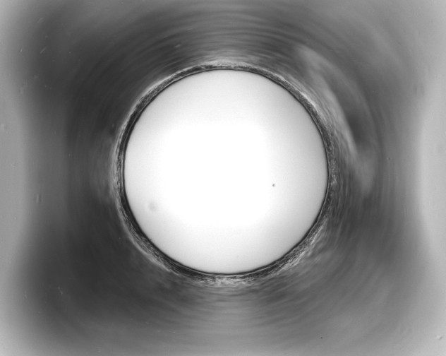 X0000098170848200804241008