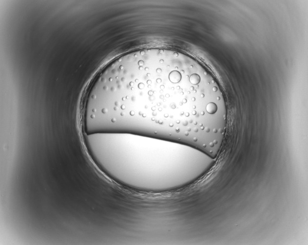 X0000098170851200804241008
