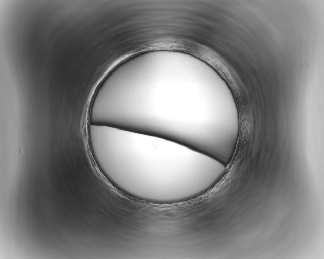 X0000098170852200804241008