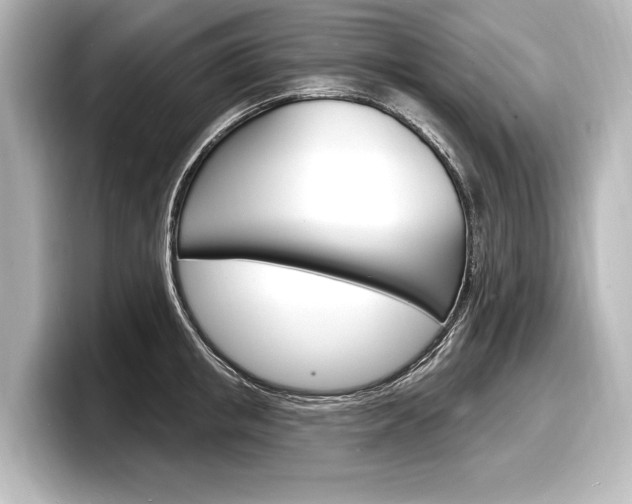 X0000098170853200804241008