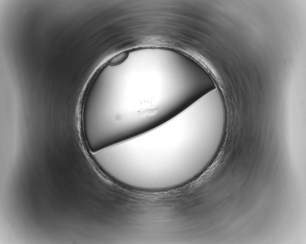 X0000098170854200804241008