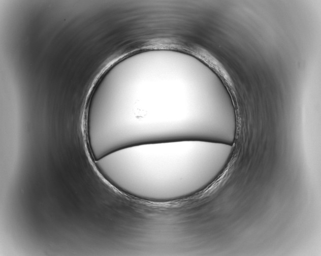 X0000098170855200804241008