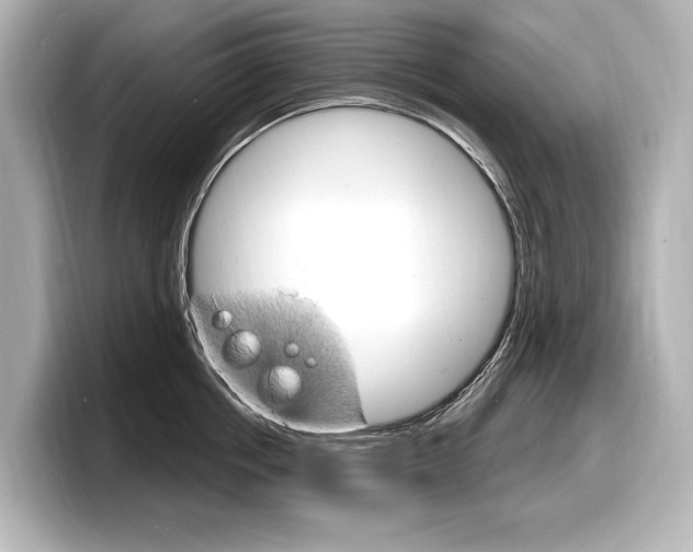 X0000098170858200804241008