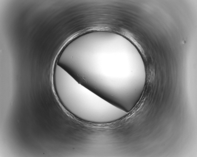 X0000098170861200804241008
