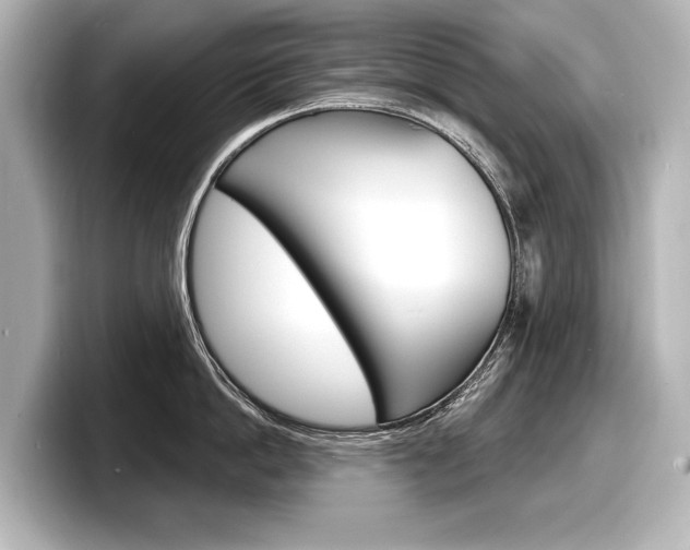 X0000098170862200804241008