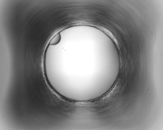 X0000098170863200804241008