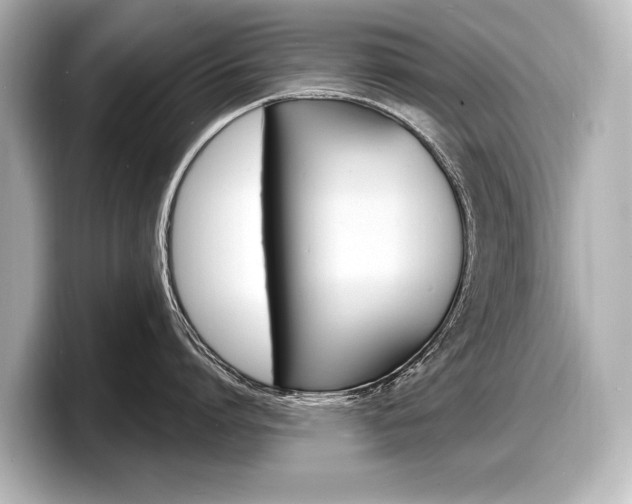 X0000098170864200804241008