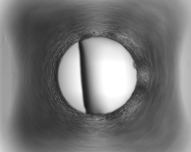 X0000098170865200804241007
