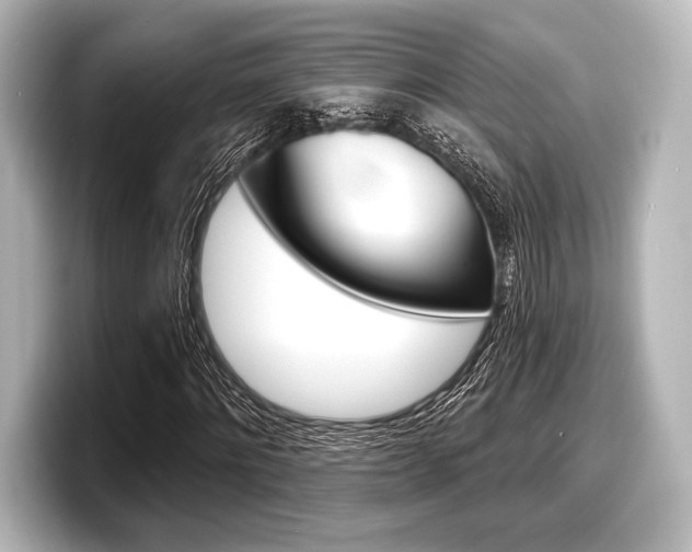 X0000098170868200804241007
