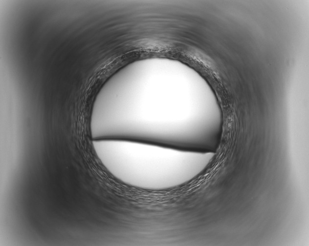 X0000098170869200804241007