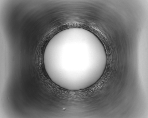 X0000098170870200804241007