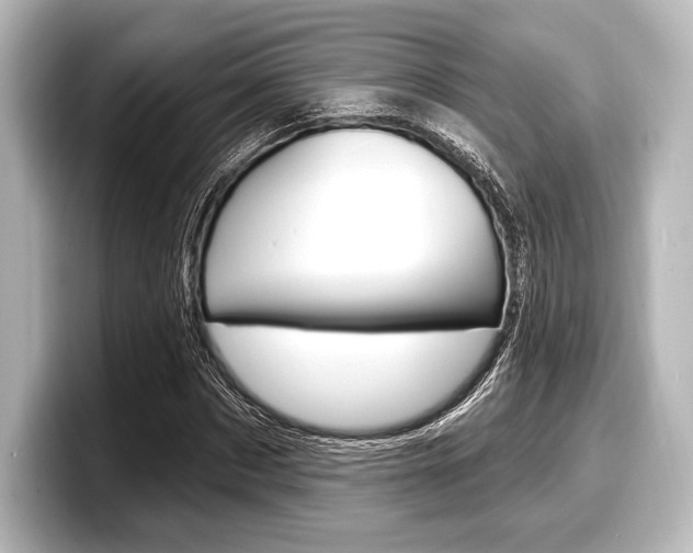 X0000098170873200804241007