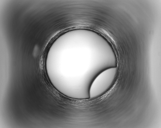 X0000098170875200804241007
